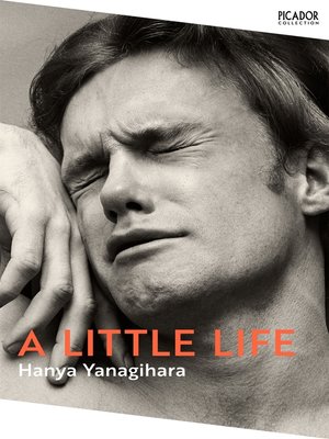 cover image of A Little Life